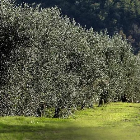Palazzo Cansacchi Vakantiehuis *