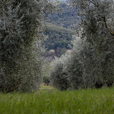 Palazzo Cansacchi Vakantiehuis *