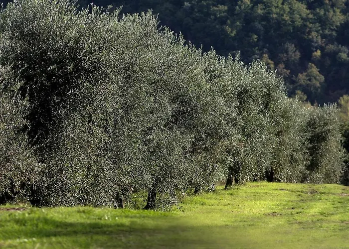 Palazzo Cansacchi Prázdninový dům *