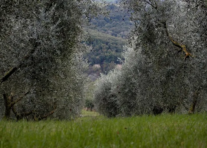 Palazzo Cansacchi Prázdninový dům *